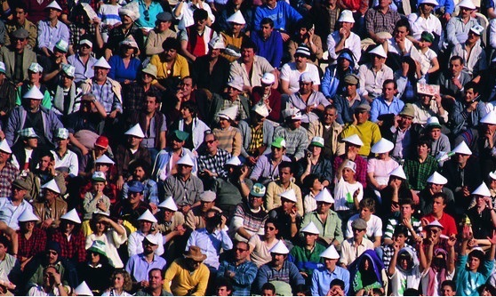 兼職平臺(tái) 口袋兼職 兼職貓